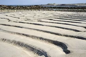 Coastal sand at low tide, channels formed by water, coast at Plouarzel, Departement Finistere, Brittany, France, Europe