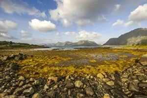 Images Dated 14th September 2014: Coastline of Austvagoy or Austvagoya Island, Lofoten, Nordland, Norway