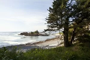 Images Dated 19th January 2012: The Coastline Along The Path To South Beach In Pacific Rim National Park Near Tofino