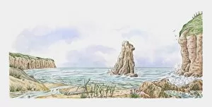 Images Dated 1st December 2009: Coastline showing sand dunes, rock stack, saltmarsh flowers, tide pools and clifftop turf