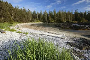 Clayoquot Sound Prints: The Coastline Between Wickaninnish Beach And South Beach In Pacific Rim National Park Near Tofino; British Columbia