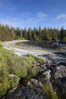 Clayoquot Sound Prints: The Coastline Between Wickaninnish Beach And South Beach In Pacific Rim National Park Near Tofino; British Columbia