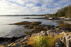 The Coastline Between Wickaninnish Beach And South Beach In Pacific Rim National Park Near Tofino; British Columbia Canada
