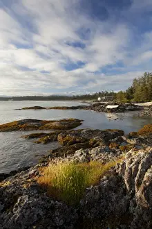Clayoquot Sound Prints: The Coastline Between Wickaninnish Beach And South Beach In Pacific Rim National Park Near Tofino; British Columbia