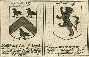 Coat Of Arms Engravings 17th Century Collection: Coat of arms 17th century Rice and Mathew