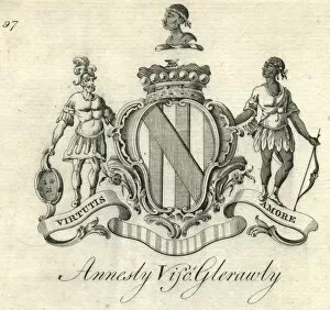 Images Dated 10th March 2013: Coat of arms Annesly Viscount Glerawly 18th century