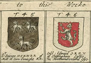 Coat Of Arms Engravings 17th Century Collection: Coat of arms copperplate 17th century Horner and Grey