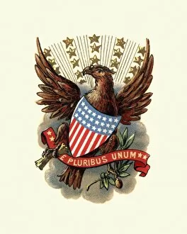 Images Dated 31st August 2016: Coat of Arms of USA, 1898