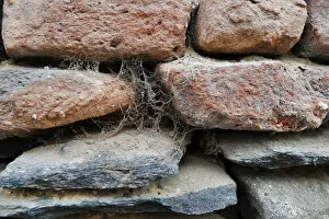 Cobwebs on a stone wall