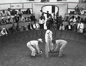 Fight Prints: Cockfight In Puerto Rico In 1930