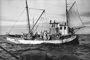 Fishing Boat Prints: Cod Trawling