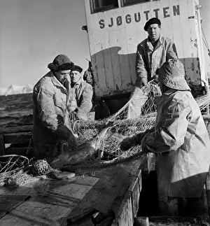 Fishing Boat Prints: Codfish Trawling