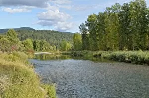 Images Dated 13th October 2011: Coeur d Alene River, Coeur d Alene National Forest, Idaho, USA