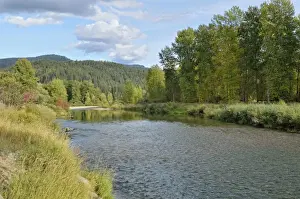 Idaho Prints: Coeur d Alene River, Coeur d Alene National Forest, Idaho, USA
