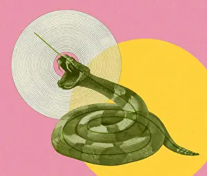 Coiled Snake