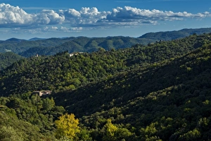 Images Dated 5th October 2013: Col du Mercou, The National Park Of Cevennes, Languedoc Roussillon, France