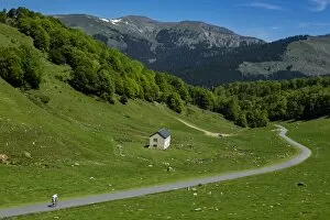 Images Dated 18th May 2015: Col de Hourquette d Ancizan, national park of Pyrenees, Hautes Pyrenees, France