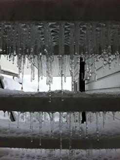 Icicle Prints: Cold Snap