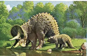 Collectible tobacco card, Triceratops Dinosaur, Germany, Salem Cigarettes, 1927