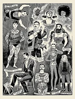 Freakshow Prints: Collection of Freaks