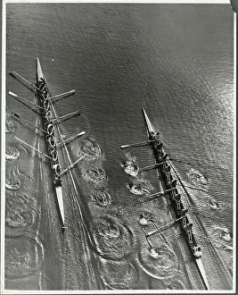 College Rowing Teams in Action