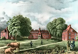 School Prints: College Of William And Mary
