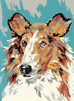 Fluffy Prints: Collie