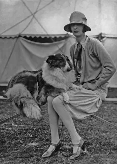 Henry Miller News Picture Service Gallery: Collie Owner