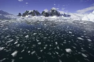 Iceberg Ice Formation Gallery: Collins Bay, Western Antarctic Peninsula