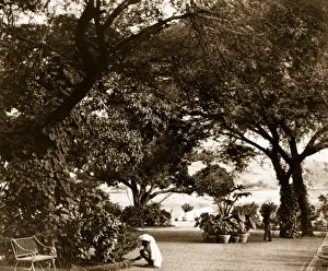 5 4 H His Ind Prints: Colonial Gardens