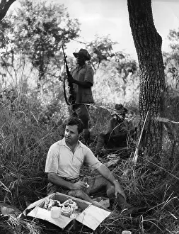 Colonial Picnic