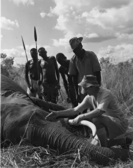 Carcass Prints: Colonization