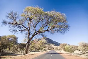 Generic Location Prints: Color Image, Day, Generic Location, Horizontal, Iron, Landscape, Limpopo Province