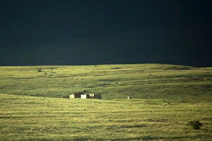 Images Dated 1st November 2011: color image, day, grass, house, landscape, meadow, moody sky, no people, orange free state