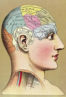 Color Lithograph of Phrenology Head with Human Capacities
