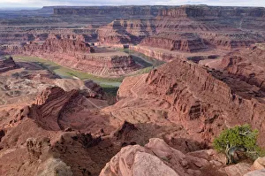 Images Dated 25th October 2011: Colorado River Canyon, Gooseneck, Dead Horse Point State Park, Moab, Utah, USA
