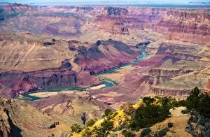 Standing Water Gallery: Colorado River View
