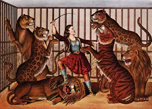 Cage Prints: Colored Lithograph of the Lion Queen