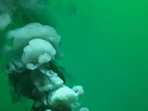Prints of Green smoke that rises up and mixed into beautiful abstractions on a green background Stone Prints: Colored smoke