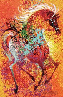 Images Dated 31st October 2012: Colorful Horse