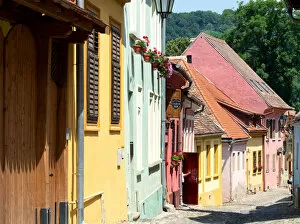 Saxon Gallery: Colorful houses in Sighisoara old town, Transylvania, Romania