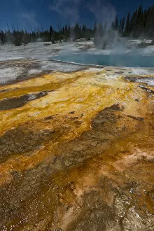 Images Dated 22nd June 2017: Colorful thermophile design run-off from Black Pool, West Thumb Geyser Area