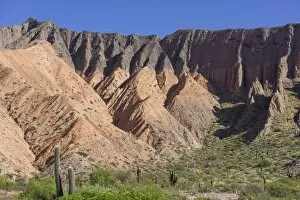 Images Dated 4th November 2012: Colourful mountains near Tilcara, Jujuy Province, Argentina