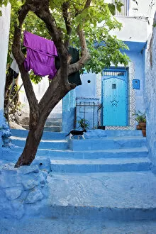 Morocco, North Africa Collection: The colourful town of Chefchaoeun, Morocco