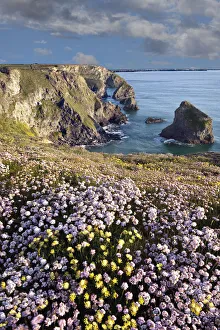 Images Dated 25th May 2012: colours