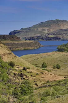 Images Dated 26th April 2016: Columbia River on sunny day, Maryhill State Park, Goldendale, Washington State, USA
