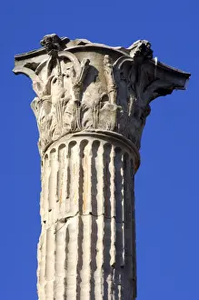 Nature’s Masterpiece: Column of Phocas Forum Romanum Rome Italy