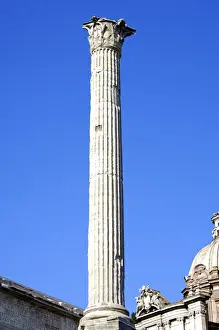 Nature’s Masterpiece: Column of Phocas Forum Romanum Rome Italy