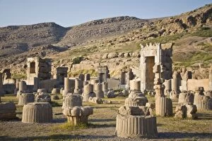 Mesopotamian Collection: Columns in Persepolis, Iran
