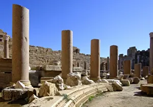 Medusa Prints: Columns, Severan basilica, Ruins of the Roman City Leptis Magna, Libya